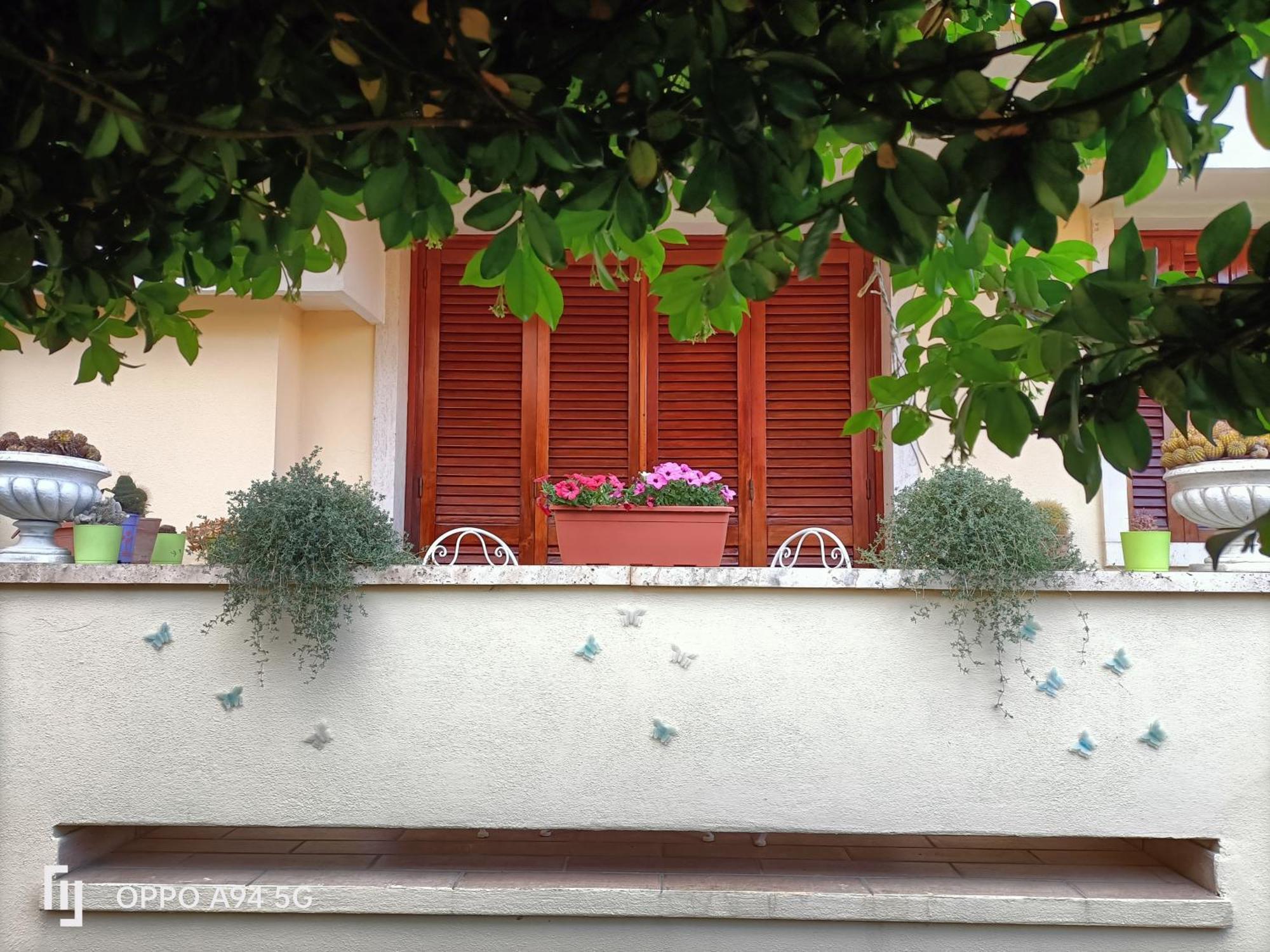 Gemma Di Gallura Charme B&B Ольбия Экстерьер фото