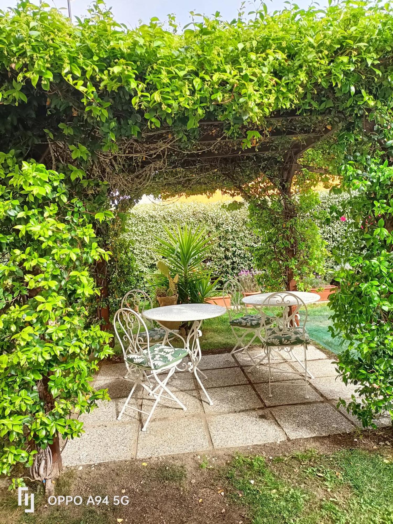 Gemma Di Gallura Charme B&B Ольбия Экстерьер фото